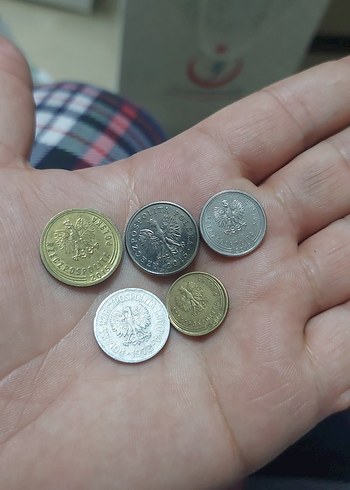 Polonya Madeni Paraları koleksiyon 5 adet fiyatıdır - Görsel 2