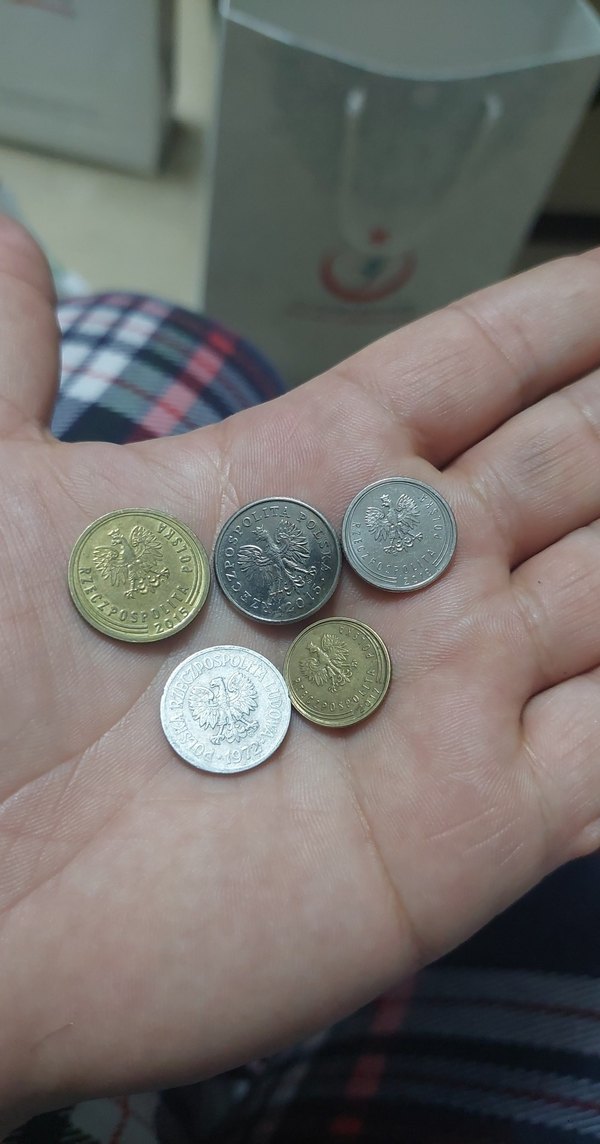 Polonya Madeni Paraları koleksiyon 5 adet fiyatıdır - Görsel 2