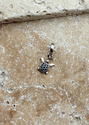 Pandora charm