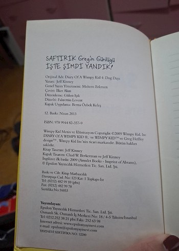 Saftirik Greg'in Günlüğü: İşte Şimdi Yandık! - Görsel 5