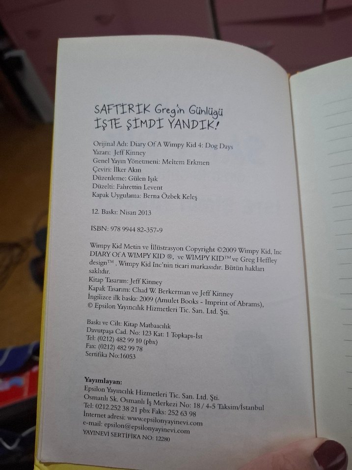 Saftirik Greg'in Günlüğü: İşte Şimdi Yandık! - Görsel 5