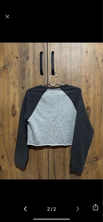 Stradivarius stradivarius crop