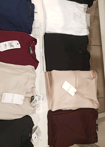 stradivarius xl