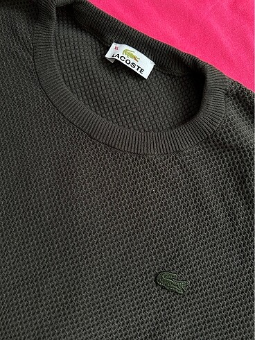 Lacoste kazak