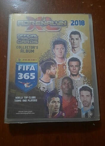 Panini kart dosyası