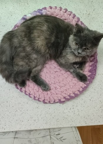 Yuvarlak Örme kedi yatağı - Görsel 5