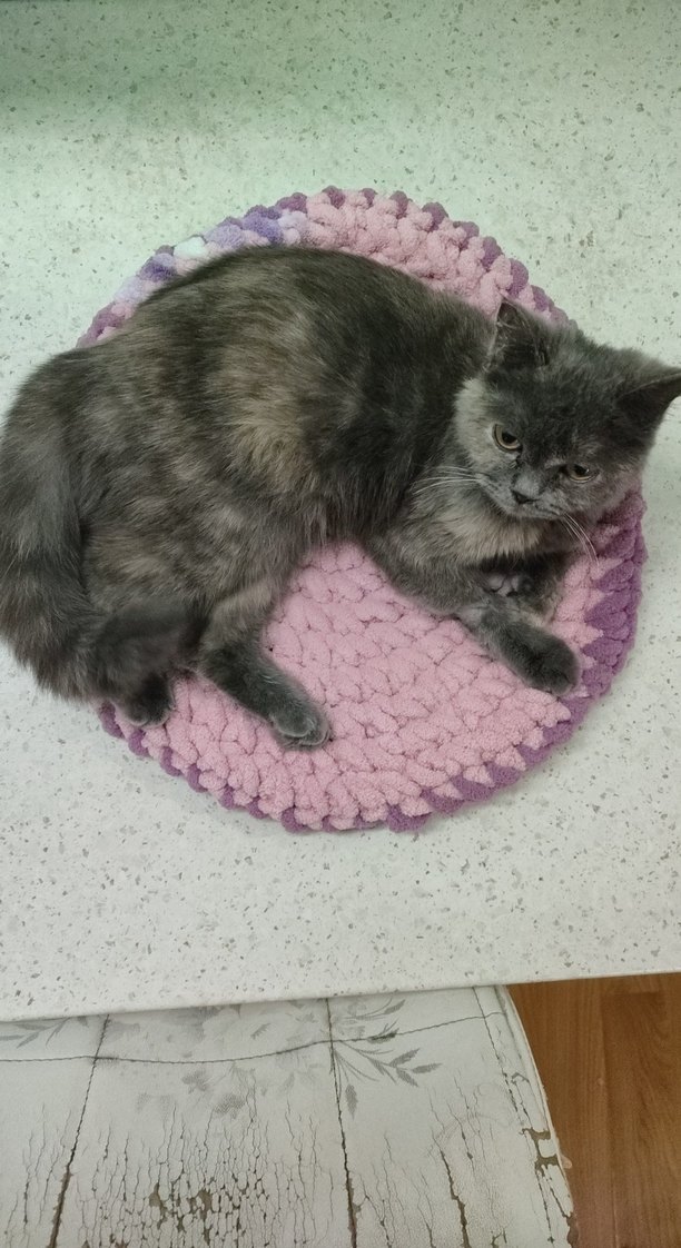 Yuvarlak Örme kedi yatağı - Görsel 5