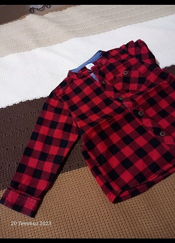 Lc waikikii