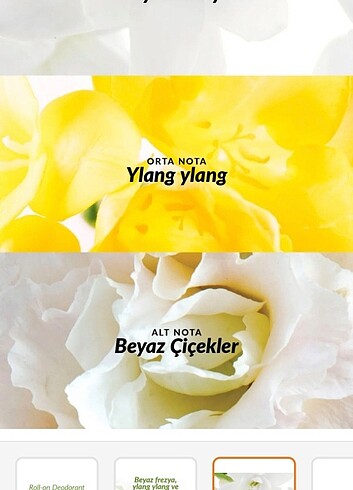 Avon Avon Pur blanca roll on
