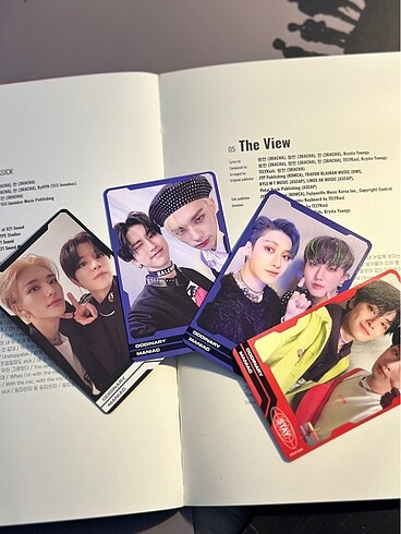 Beden stray kids oddinary