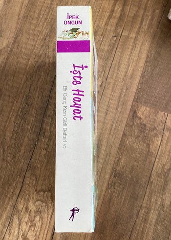 İpek Ongun - İşte Hayat Romanı - Görsel 2