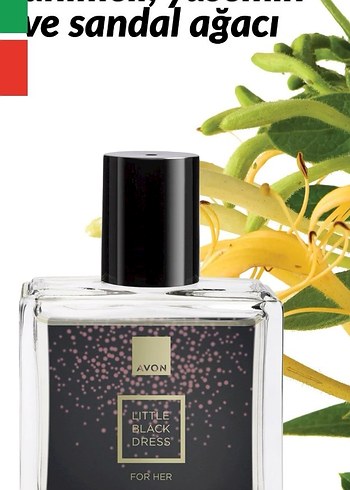 Little Black Dress Kadın Parfümü 30 ml - Görsel 2