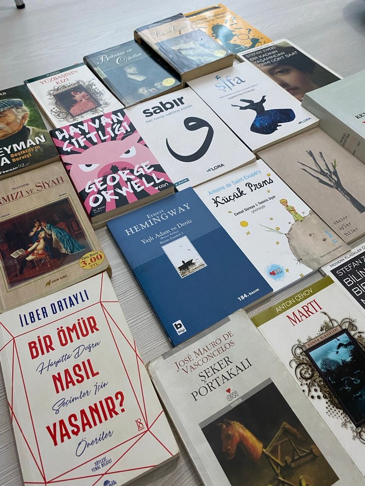 Çeşitli Yabancı Dil Kitapları Koleksiyonu - Görsel 2