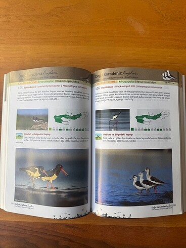  Doğu Karadeniz Kuşları Kitap
