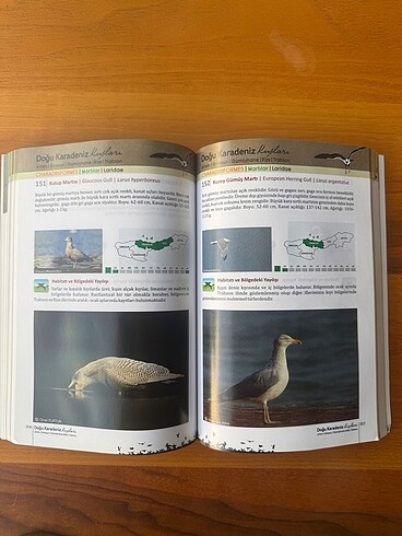  Beden Doğu Karadeniz Kuşları Kitap