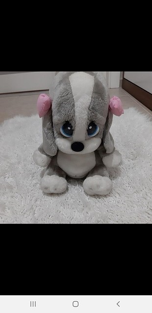 uzgun köpek sam