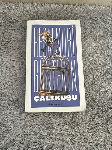 Reşat Nuri Güntekin - Çalıkuşu