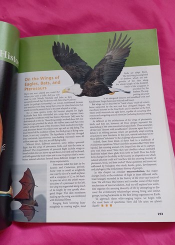 Biology Concepts & Connections 6. Baskı Kitap - Görsel 2