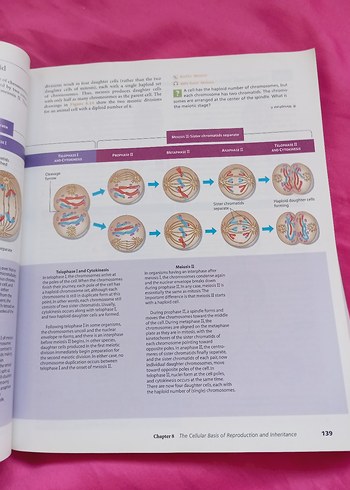 Biology Concepts & Connections 6. Baskı Kitap - Görsel 4