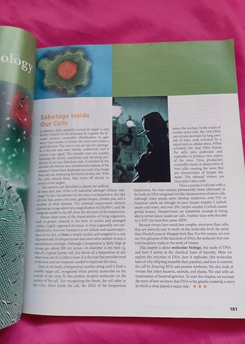 Biology Concepts & Connections 6. Baskı Kitap - Görsel 6