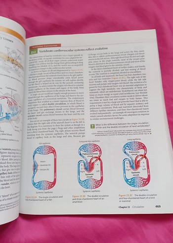 Biology Concepts & Connections 6. Baskı Kitap - Görsel 9