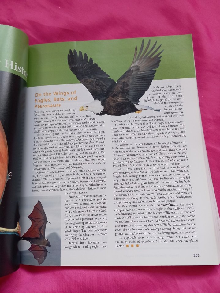 Biology Concepts & Connections 6. Baskı Kitap - Görsel 2