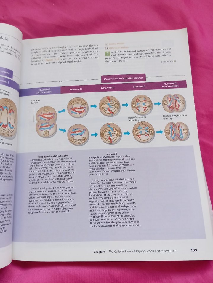 Biology Concepts & Connections 6. Baskı Kitap - Görsel 4
