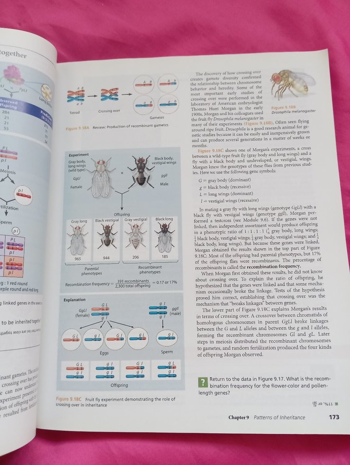 Biology Concepts & Connections 6. Baskı Kitap - Görsel 5