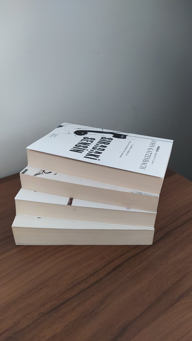 Psikolojik Gerilim 4'lü Roman Seti - Görsel 2