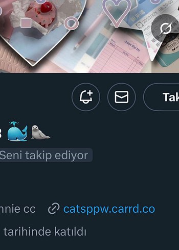 ozel ilan