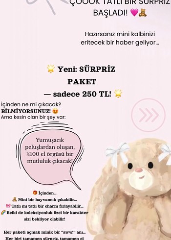 Pastel Renkli Peluş Sürpriz Paketleri 1 paket - Görsel 2