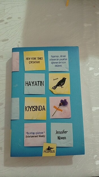 Hayatın Kıyısında 