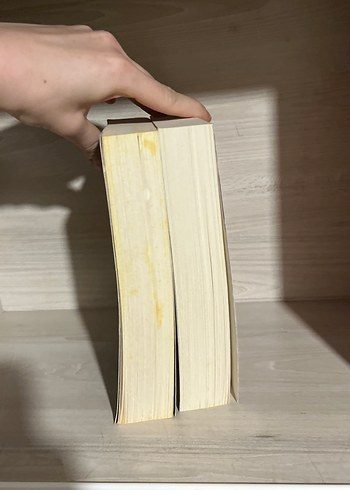 Mary E. Pearson Hırsızların Dansı ve Yemi - Görsel 3