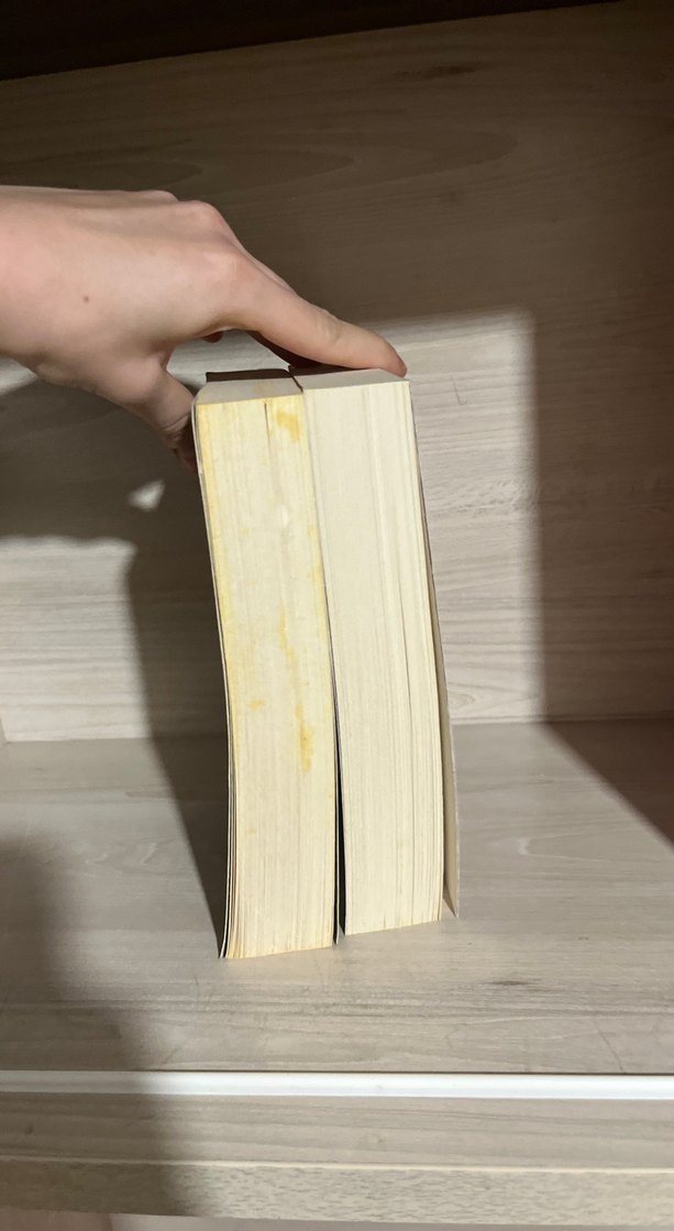 Mary E. Pearson Hırsızların Dansı ve Yemi - Görsel 3