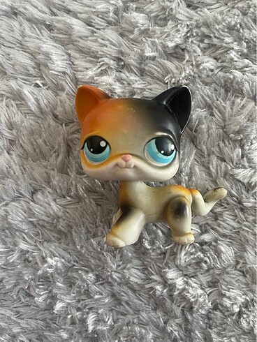 LPS SHORT HAIR NADIR