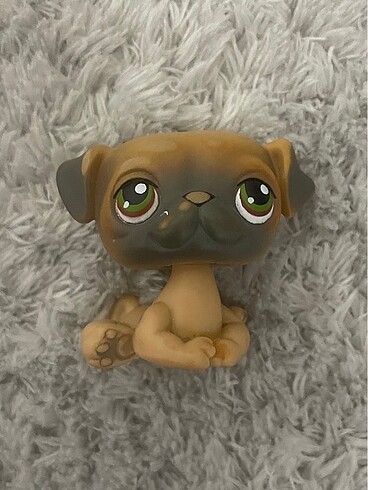 002 lps eski miniş köpek