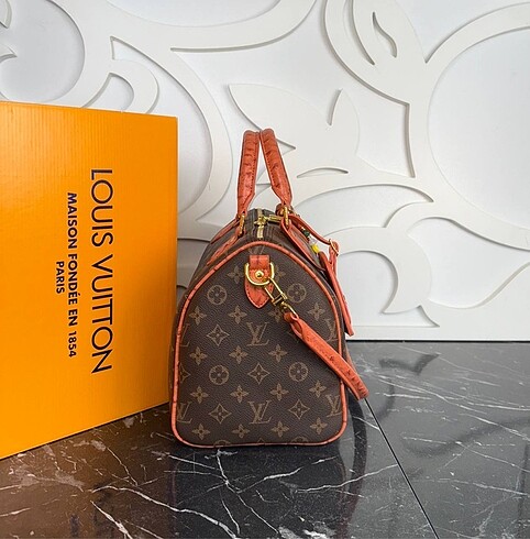 Beden Louis vuitton çanta