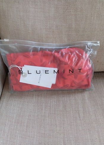 Bluemint yeni etiketli erkek mayo