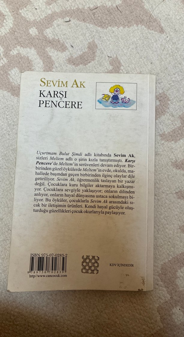 Karşı Pencere - Sevim Ak Çocuk Şiir Kitabı - Görsel 2