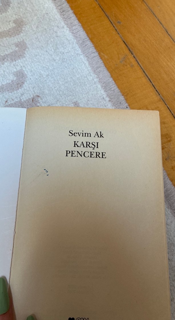 Karşı Pencere - Sevim Ak Çocuk Şiir Kitabı - Görsel 3