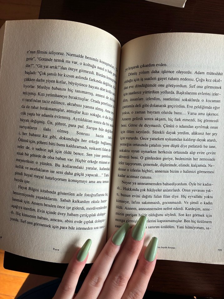 Küçük Aptalın Büyük Dünyası - Pucca Günlük - Görsel 3