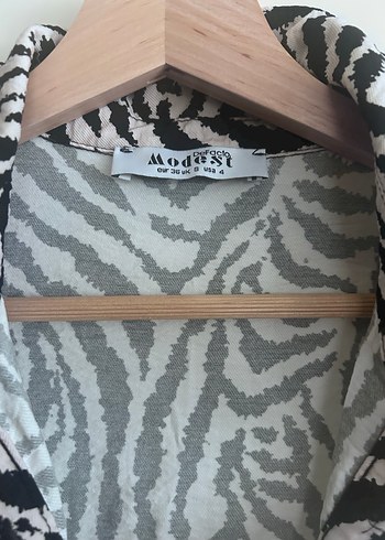 Zebra Desenli Uzun Salaş Elbise - Görsel 2