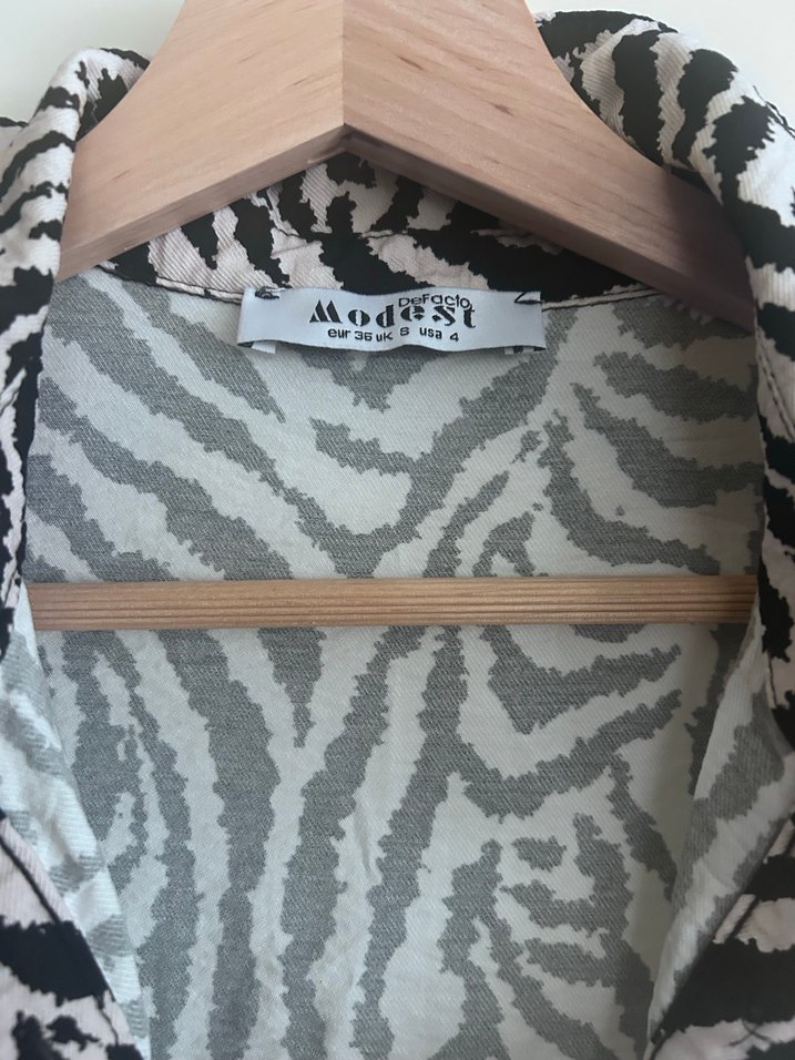 Zebra Desenli Uzun Salaş Elbise - Görsel 2