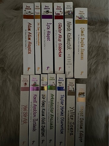 Bir Genç Kızın Gizli Defteri Serisi 13 kitap