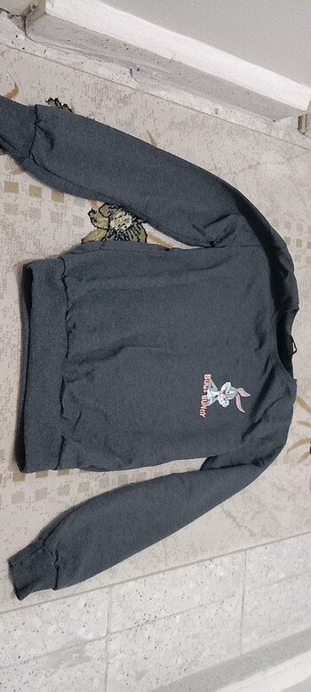 Diğer Sweatshirt 