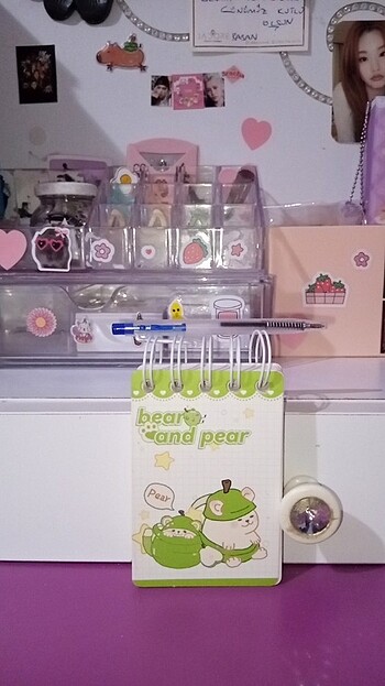 Bear And Pear küçük defter