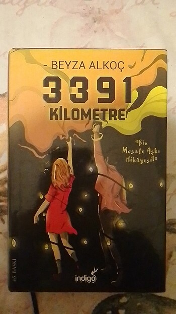  3391 Kilometre