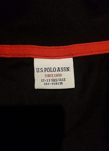 U.S Polo Assn. Tshirt
