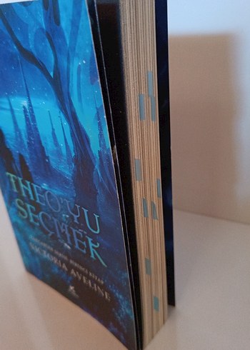 Theoyu seçmek - Görsel 3