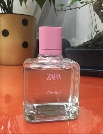 Zara orchid parfüm